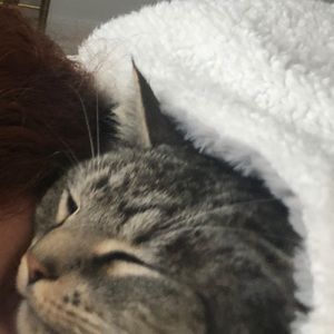 Meet your Posher, Travis